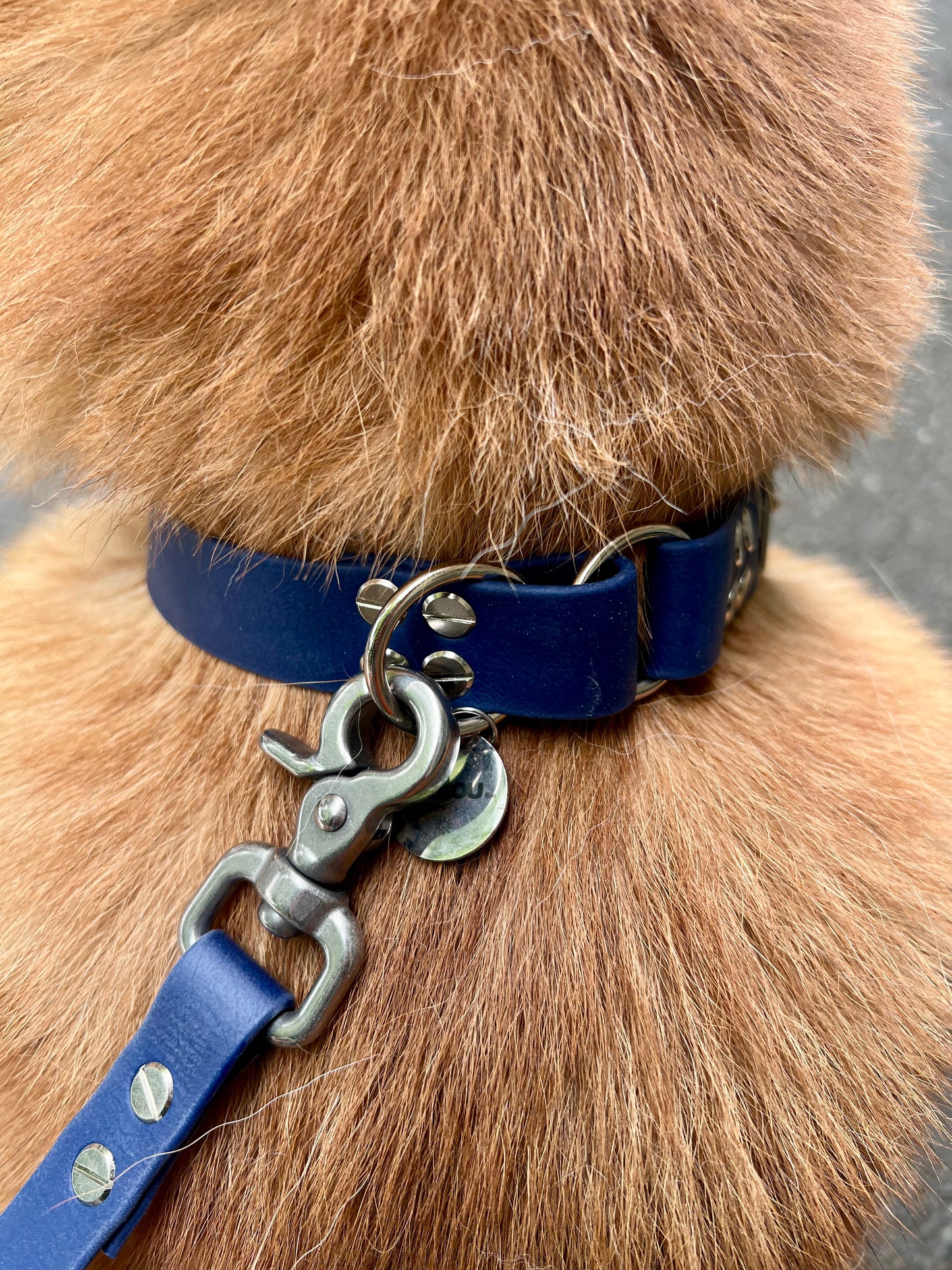 Le Collier St-Germain Classique