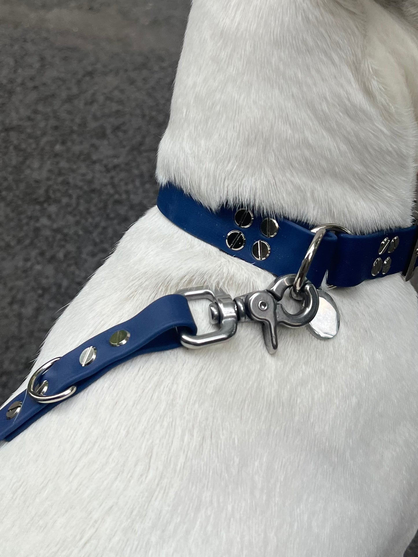 Le Collier St-Germain Classique