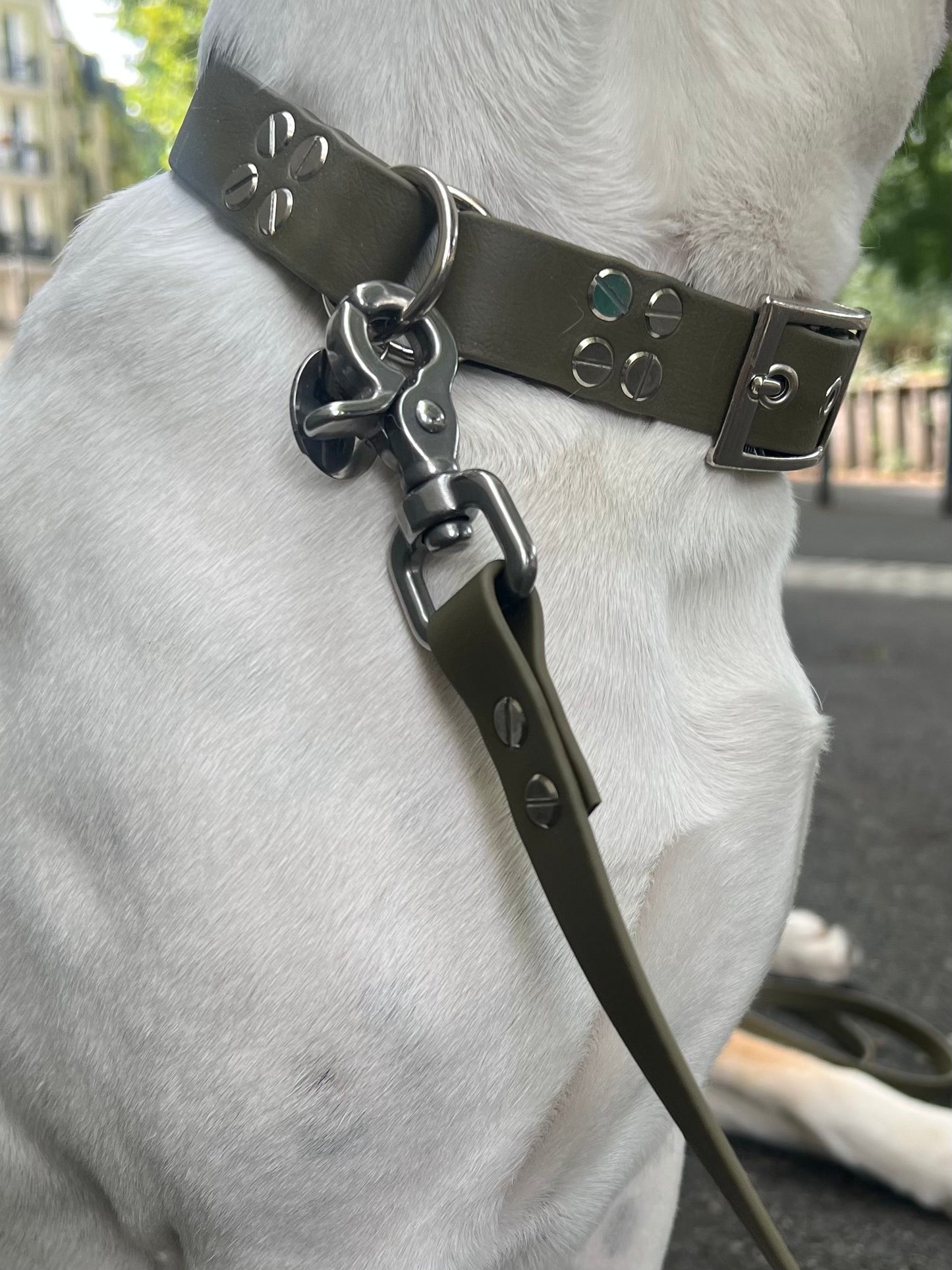 Le Collier St-Germain Classique