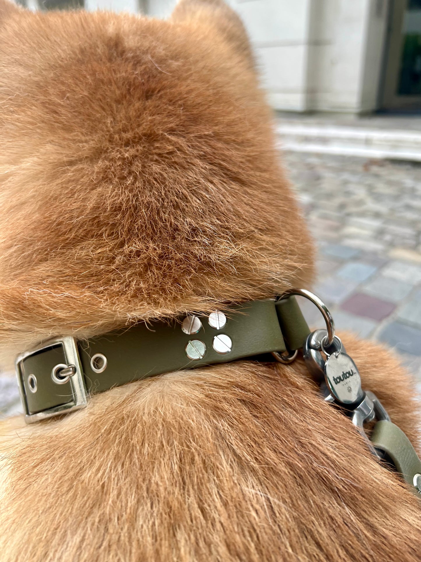 Le Collier St-Germain Classique