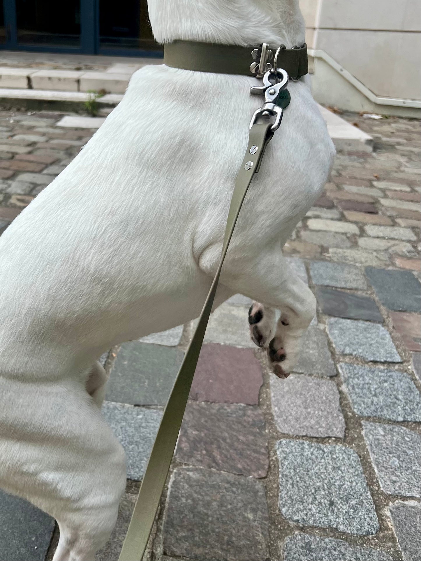 Le Collier St-Germain Classique