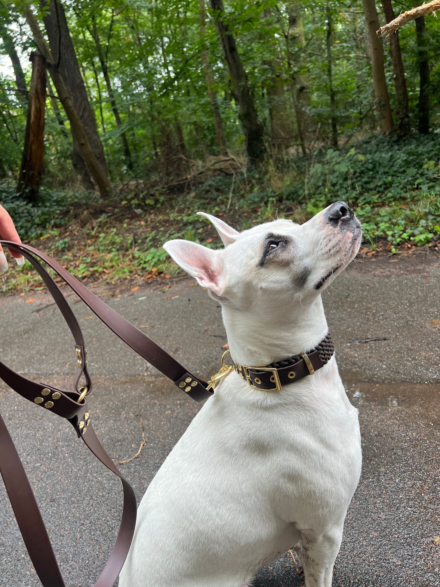 Le collier St-Germain Tressé