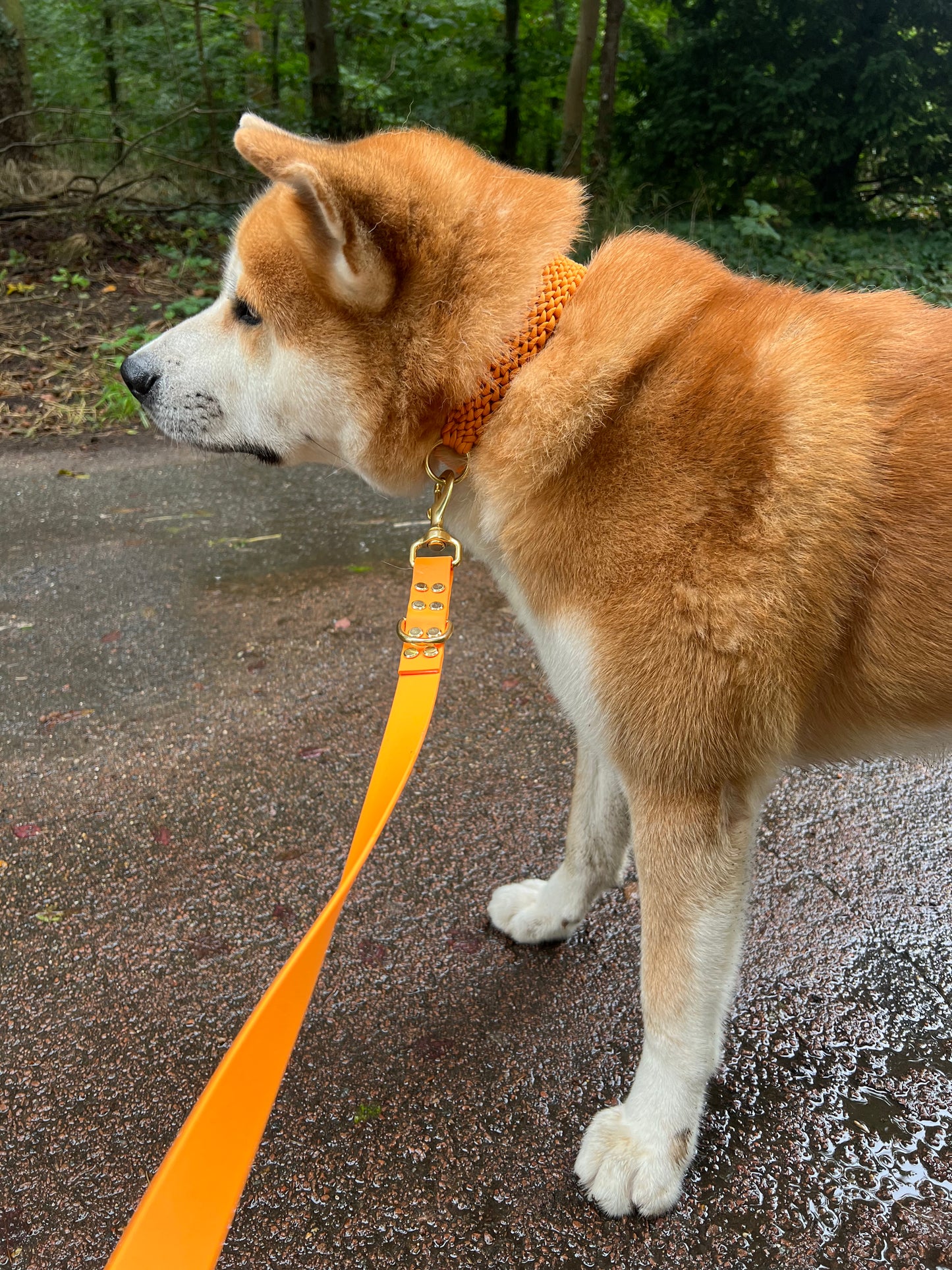 Le collier St-Germain Tressé