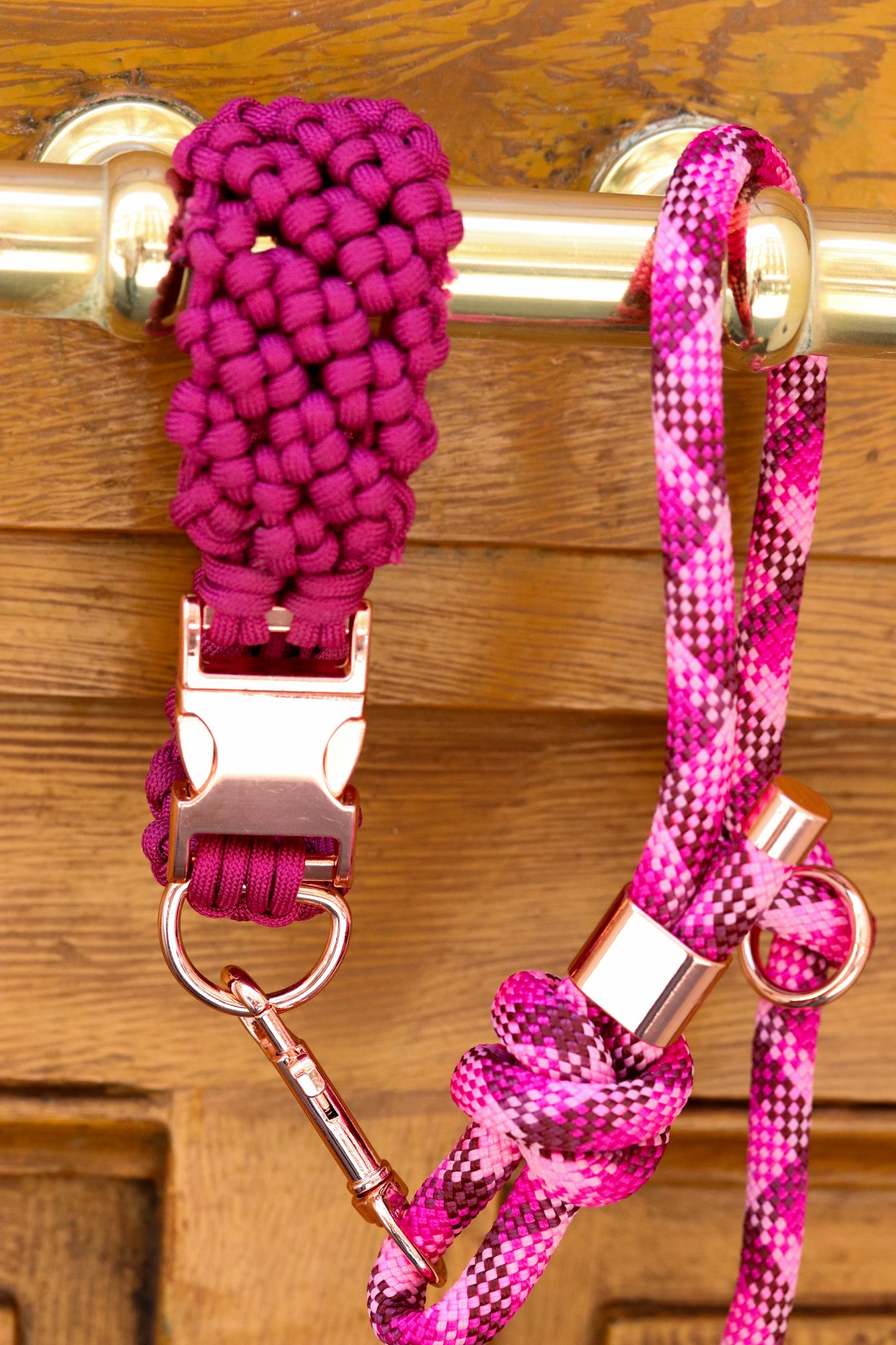 La laisse corde Boulogne