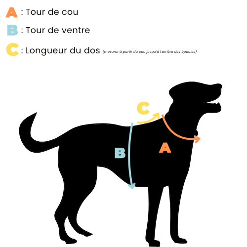 dog collar waterproof handmade in biothane and braided paracorde, colliers pour chien