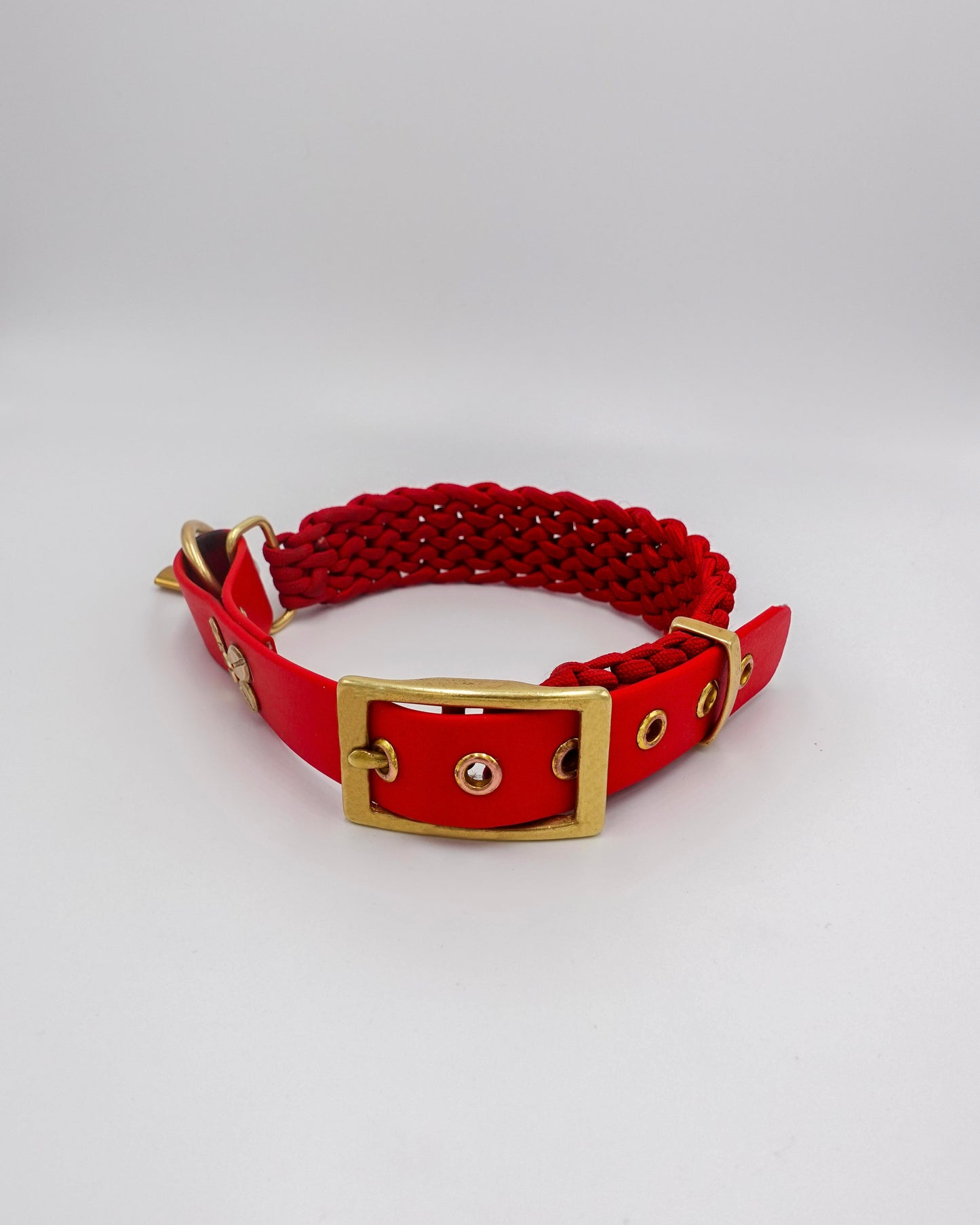 dog collar waterproof handmade in biothane and braided paracorde, colliers pour chien