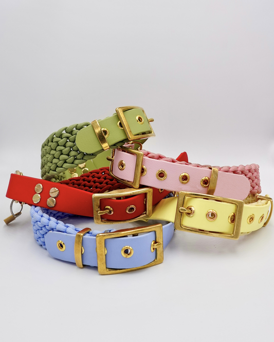 dog collar waterproof handmade in biothane and braided paracorde, colliers pour chien