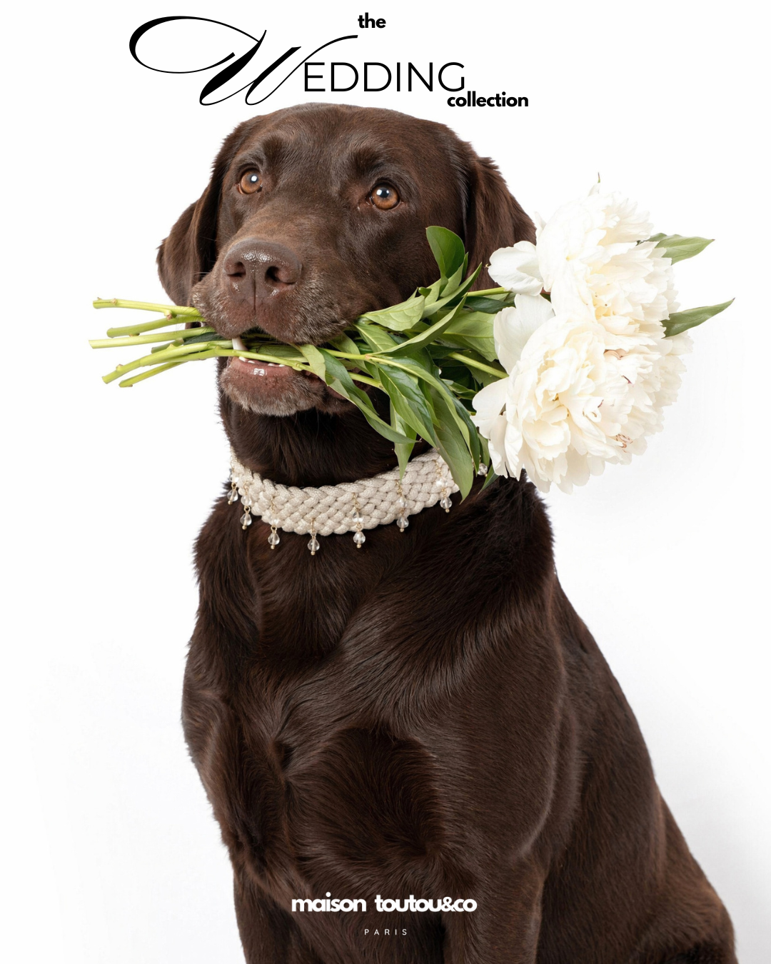 The Wedding Collection