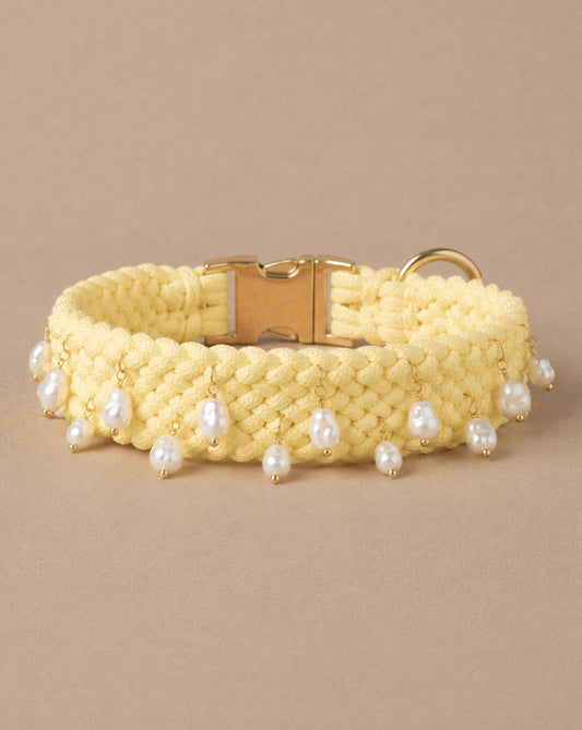 Le Collier Piou Piou