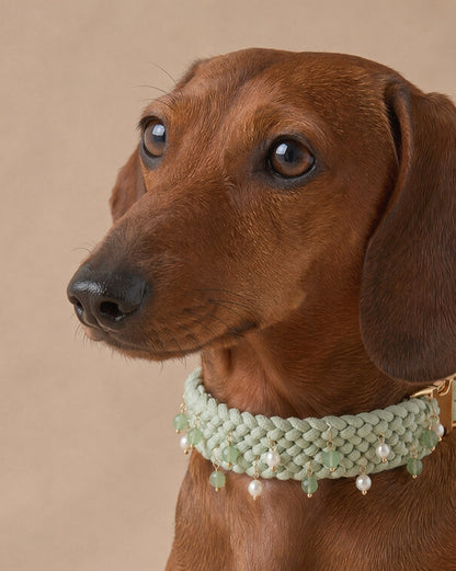 La Collier Matcha