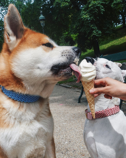 Le collier St-Germain Tressé