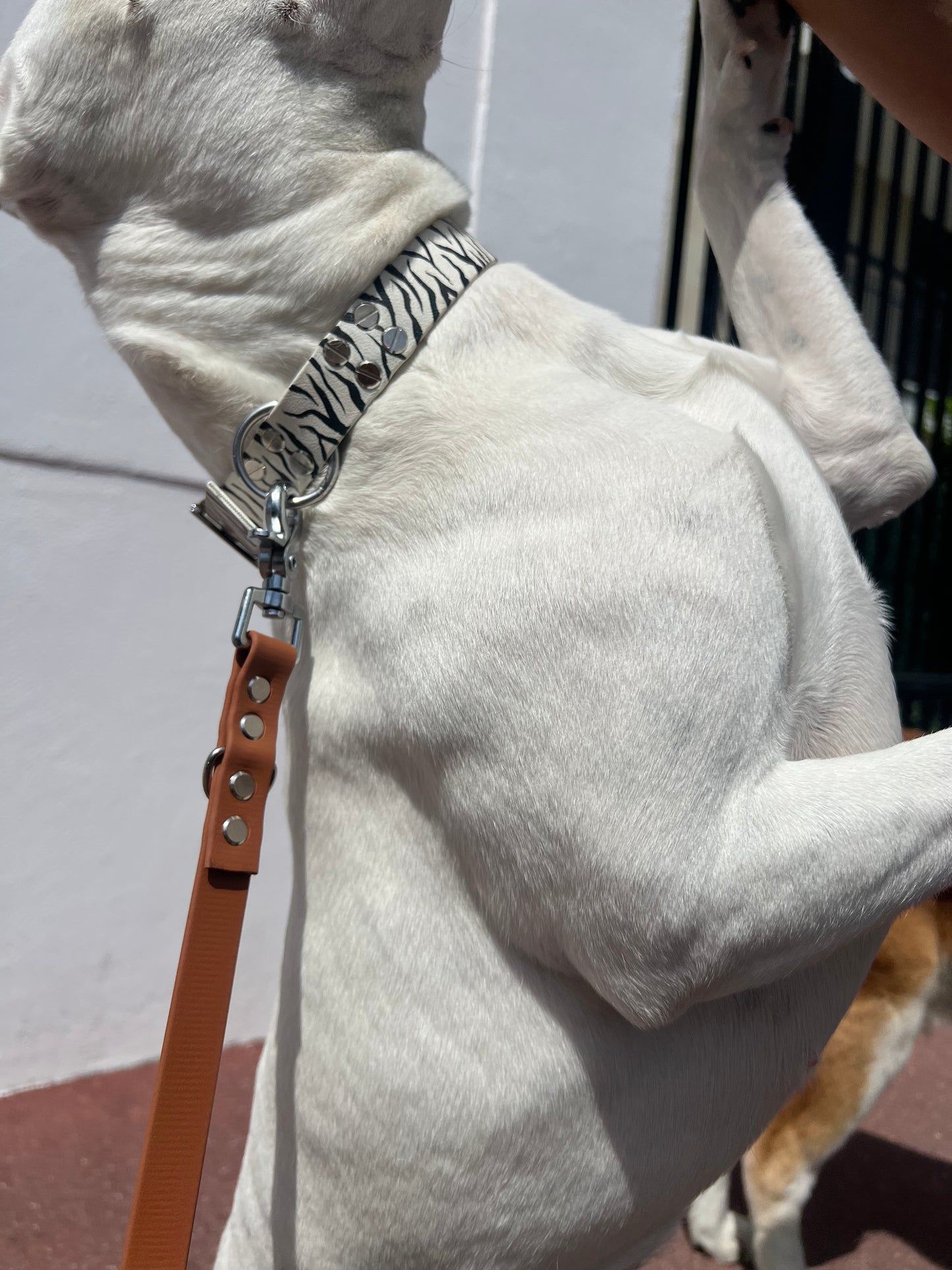 Le collier Marty