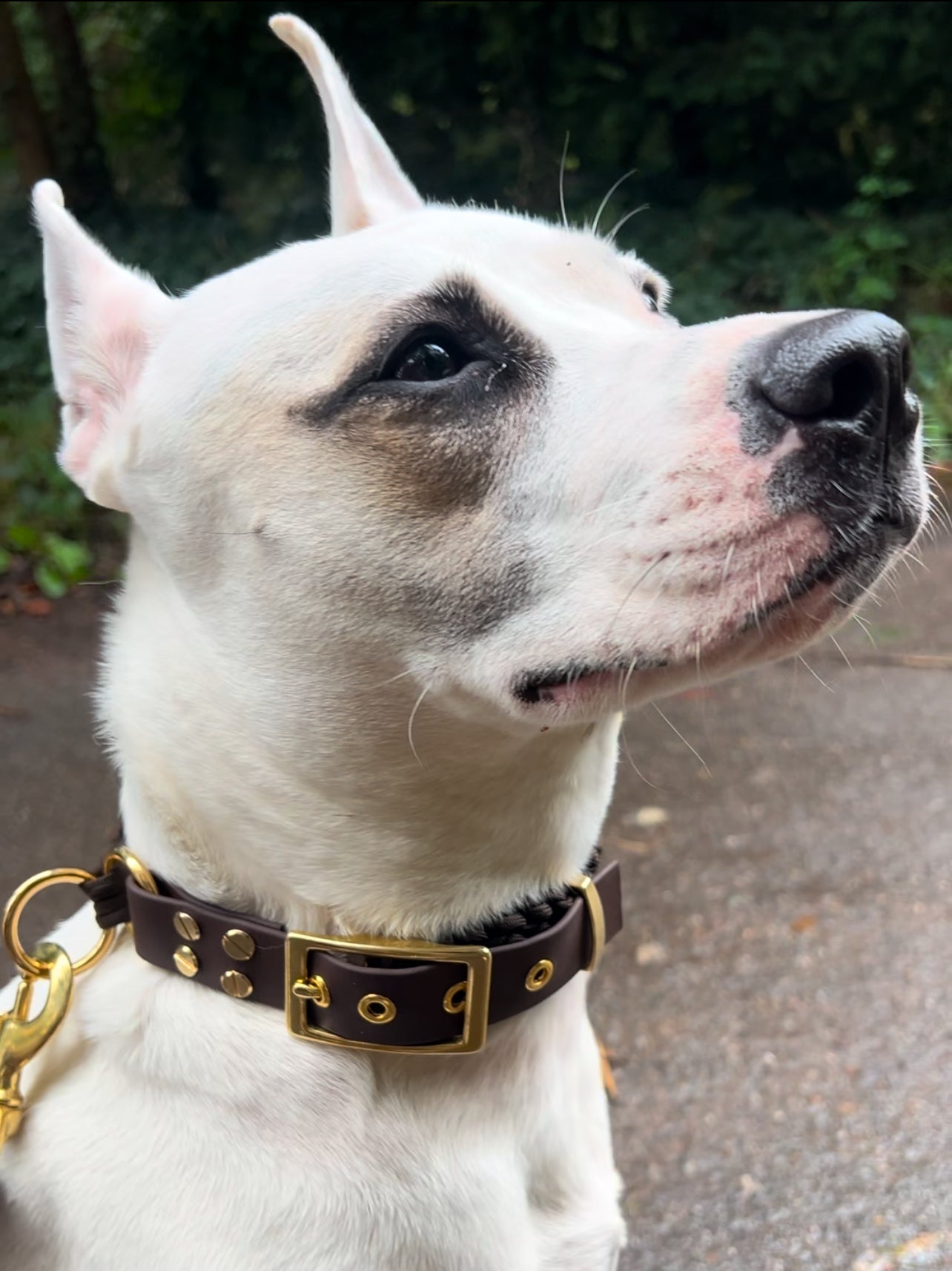 Le collier St-Germain Tressé