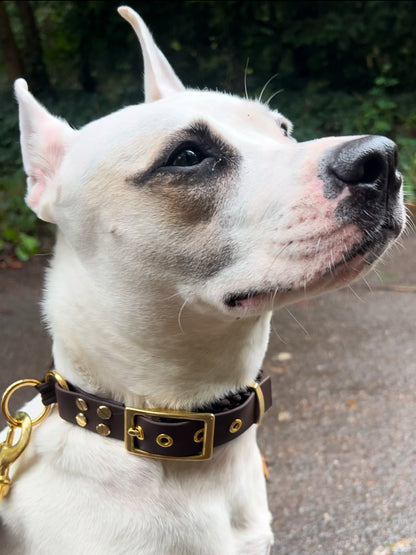 Le collier St-Germain Tressé