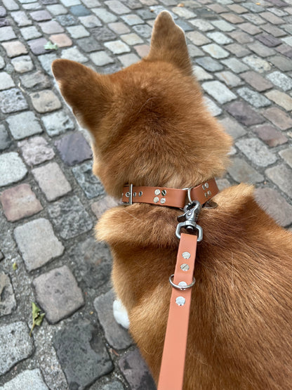 Le Collier St-Germain Classique