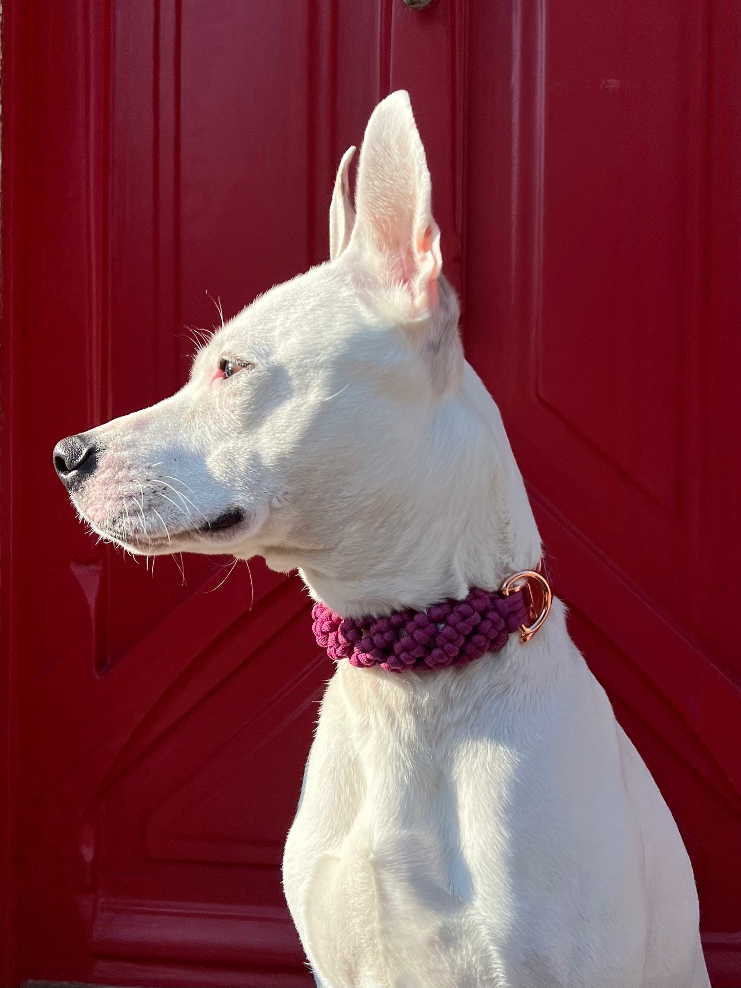 Le collier Boulogne