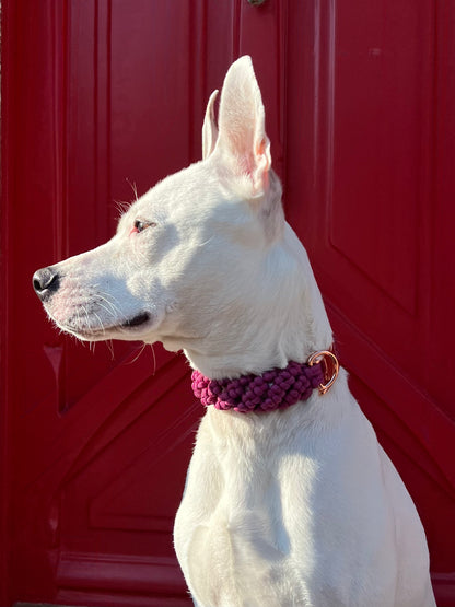 Le collier Boulogne