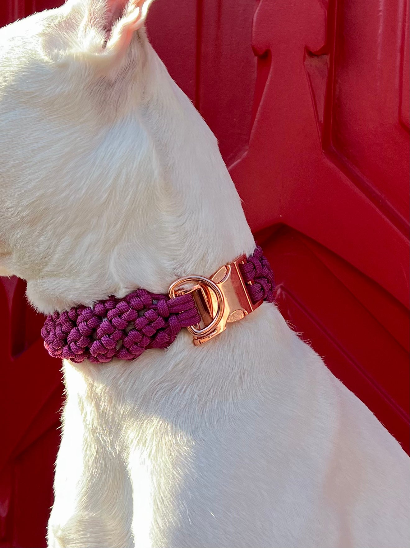 Le collier Boulogne