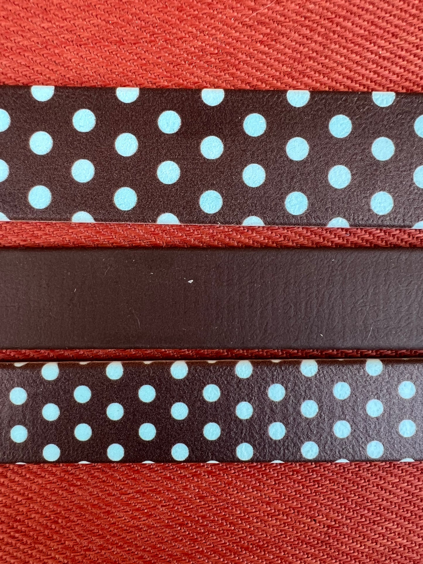 La Laisse Polka Longue - Cookie (Pré-commande)