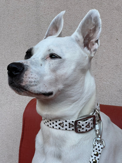 Le Collier Polka - Vanille (Précommande)