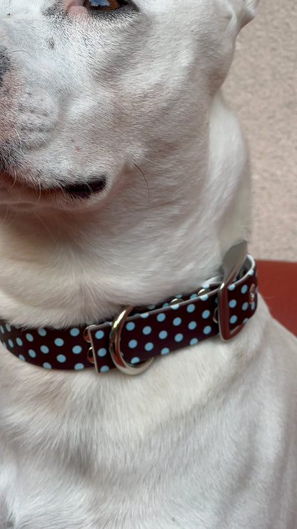 Le Collier Polka - Cookie (Précommande)