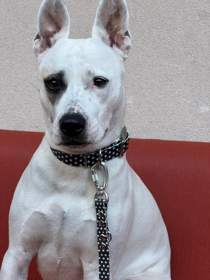 Le Collier Polka - Cookie (Précommande)