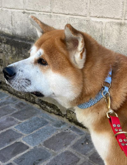 Le collier St-Germain Tressé