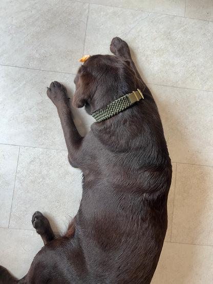 Le collier St-Germain Tressé