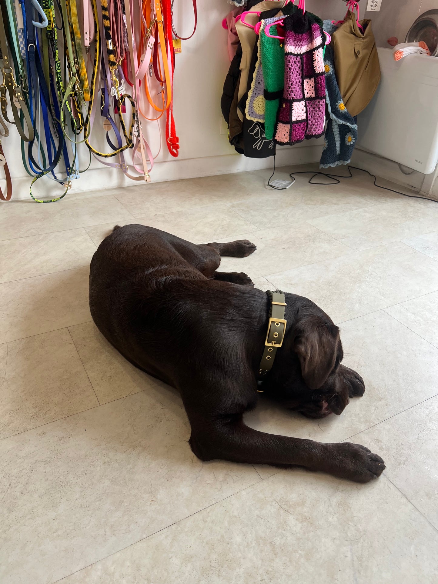 Le collier St-Germain Tressé