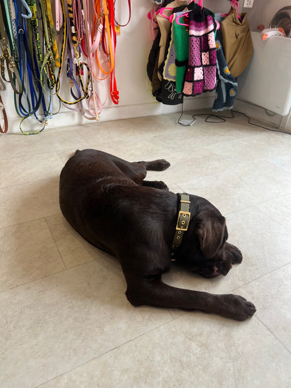 Le collier St-Germain Tressé