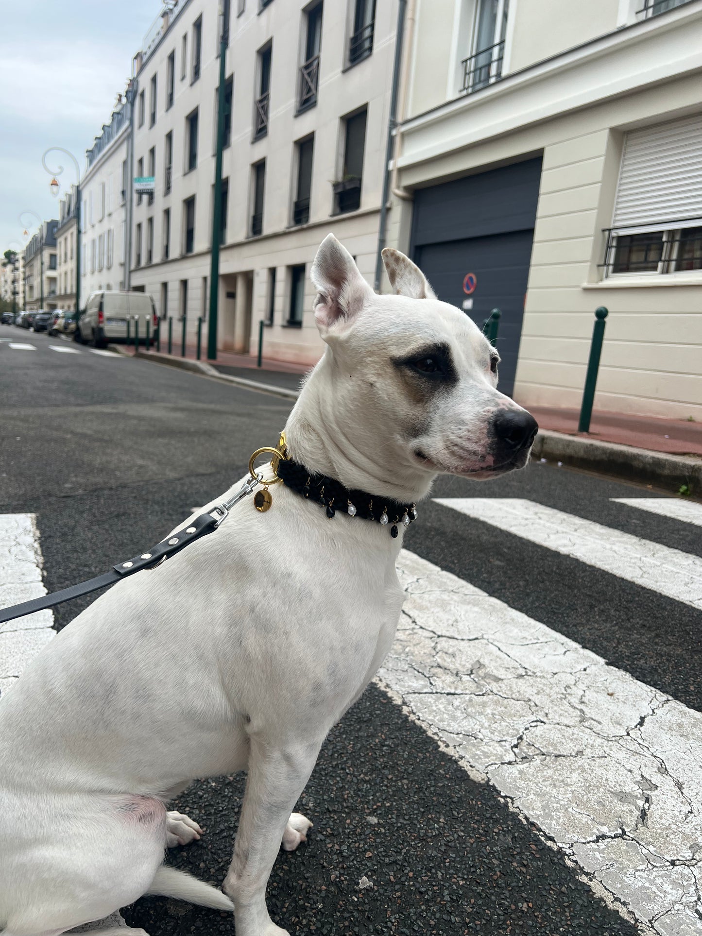 Le Collier Coco