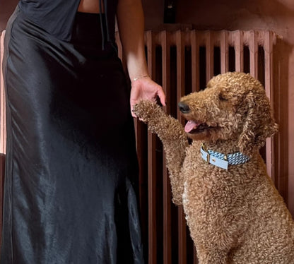 Le collier St-Germain Tressé