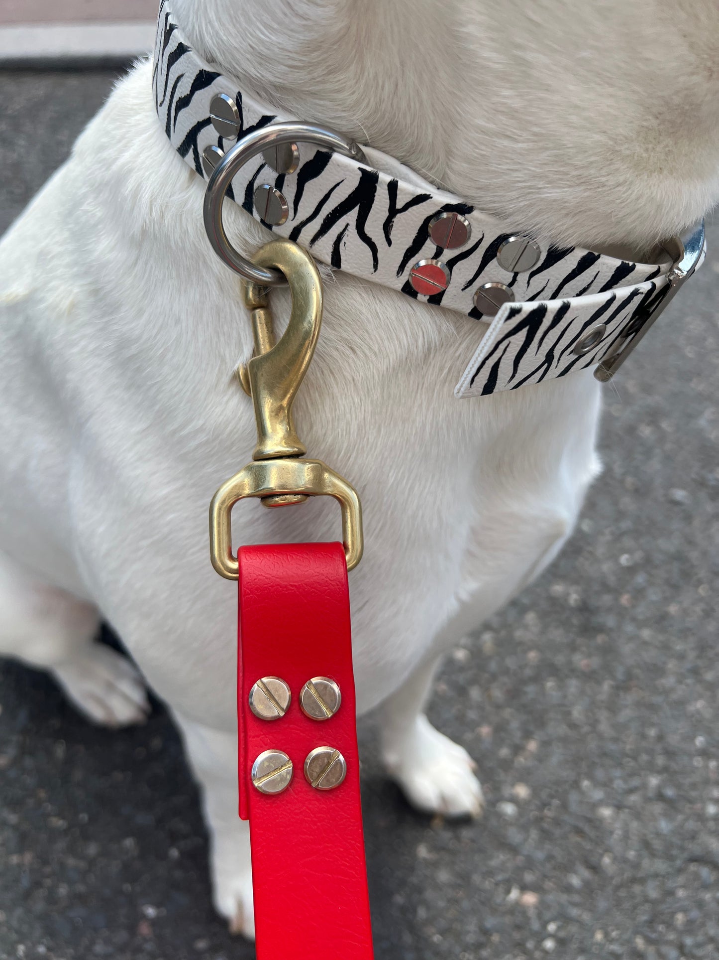 Le collier Marty