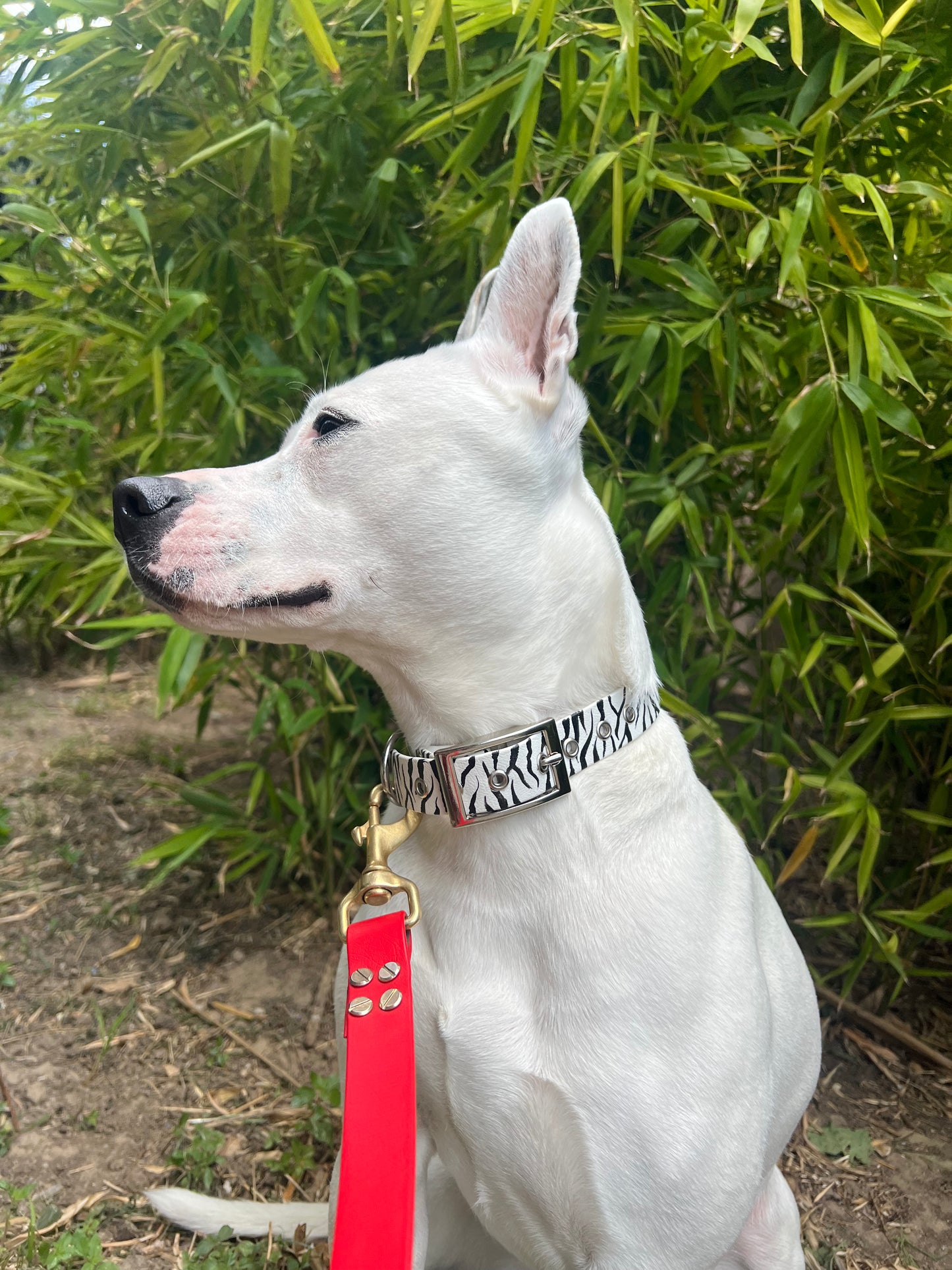 Le collier Marty