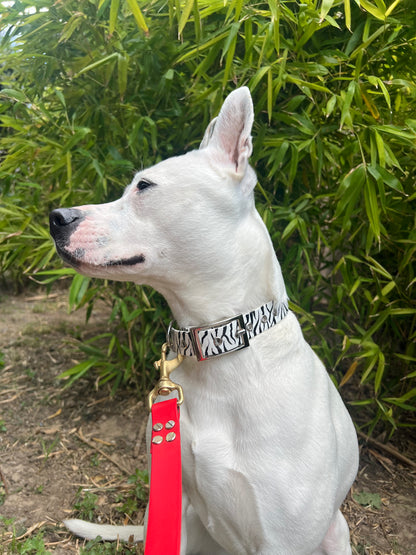 Le collier Marty