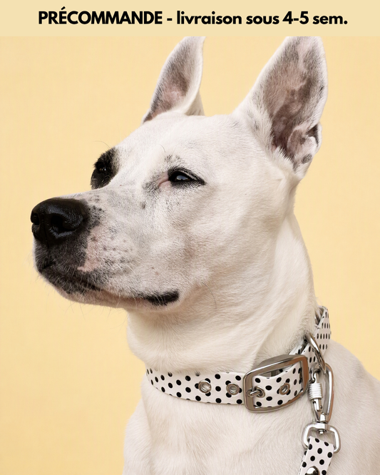 Le Collier Polka - Vanille (Précommande)