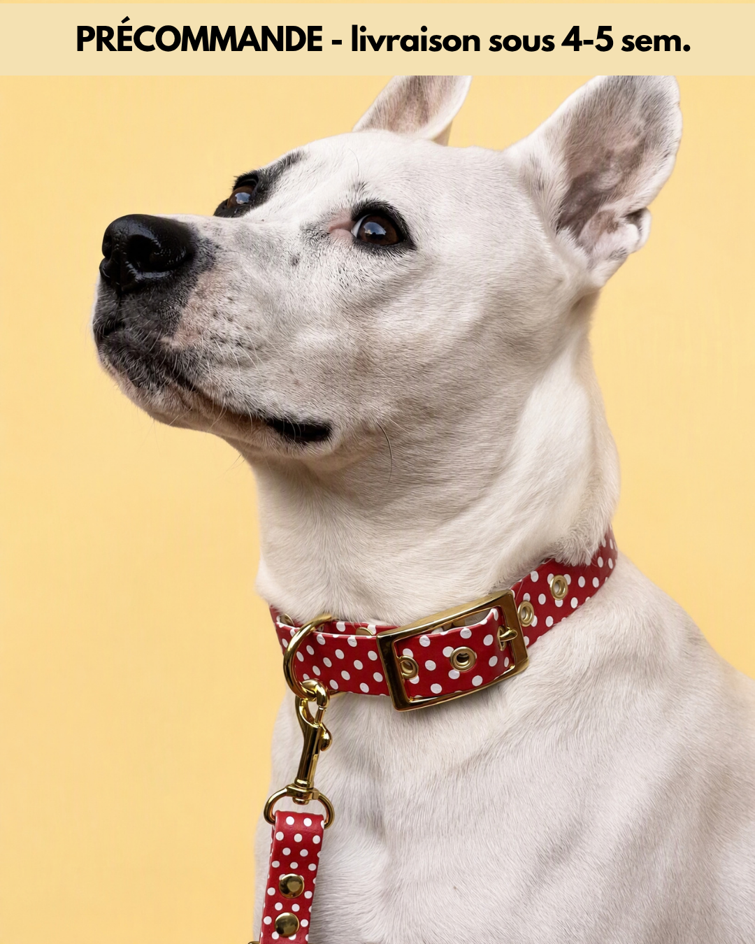 Le Collier Polka - Cerise (Précommande)