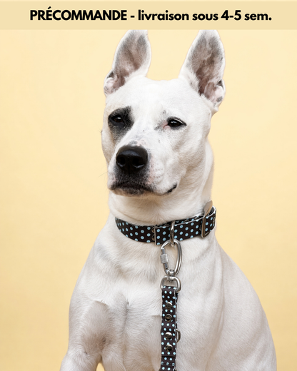 Le Collier Polka - Cookie (Précommande)