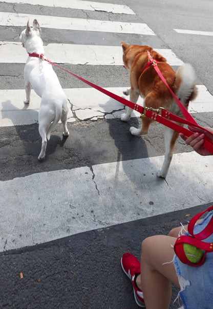 ball holder, for dogs, porte balle pour chien 