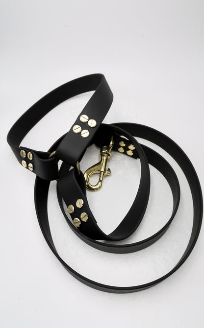 dog leash in biothane. harness Waterproof leash, vegan leather laisse pour chien handmade in France