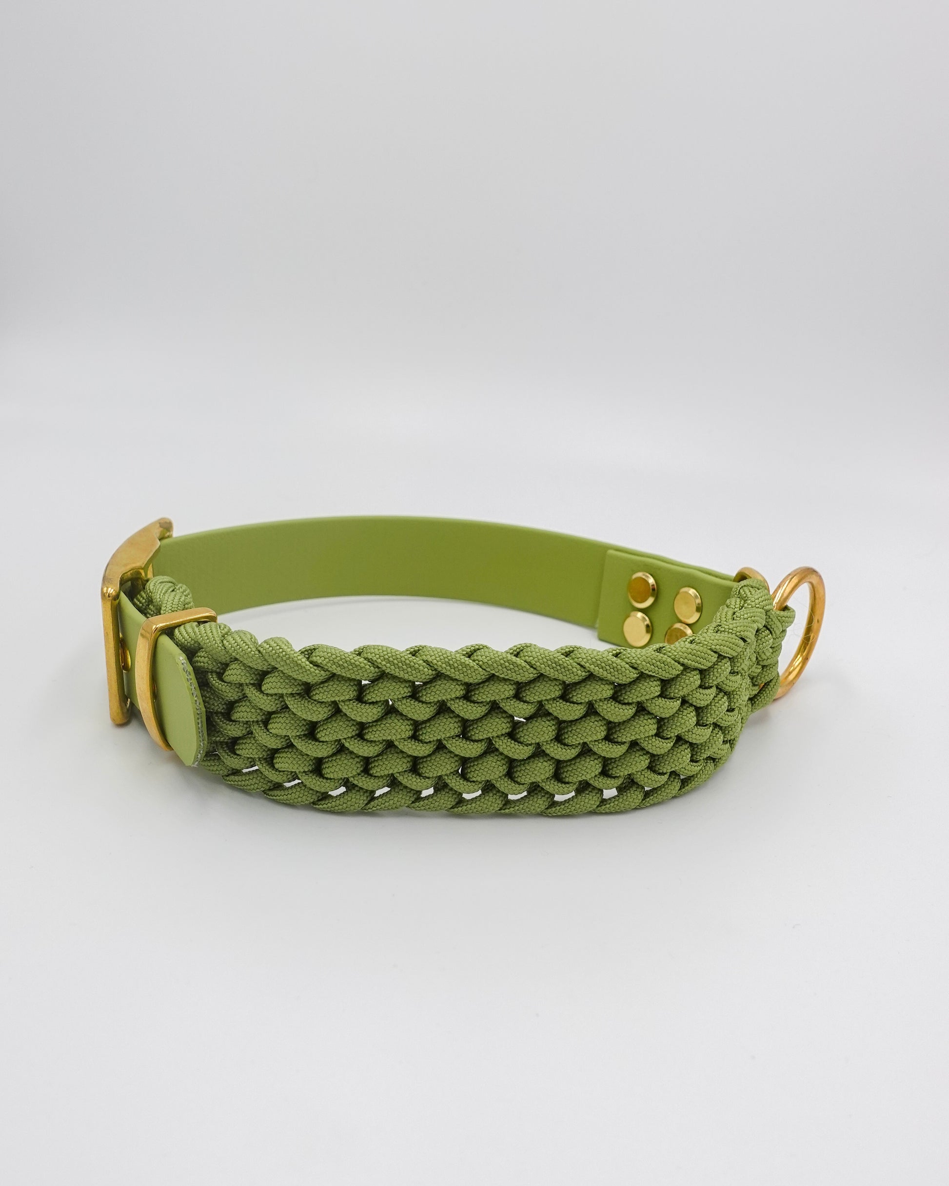 dog collar waterproof handmade in biothane and braided paracorde, colliers pour chien 