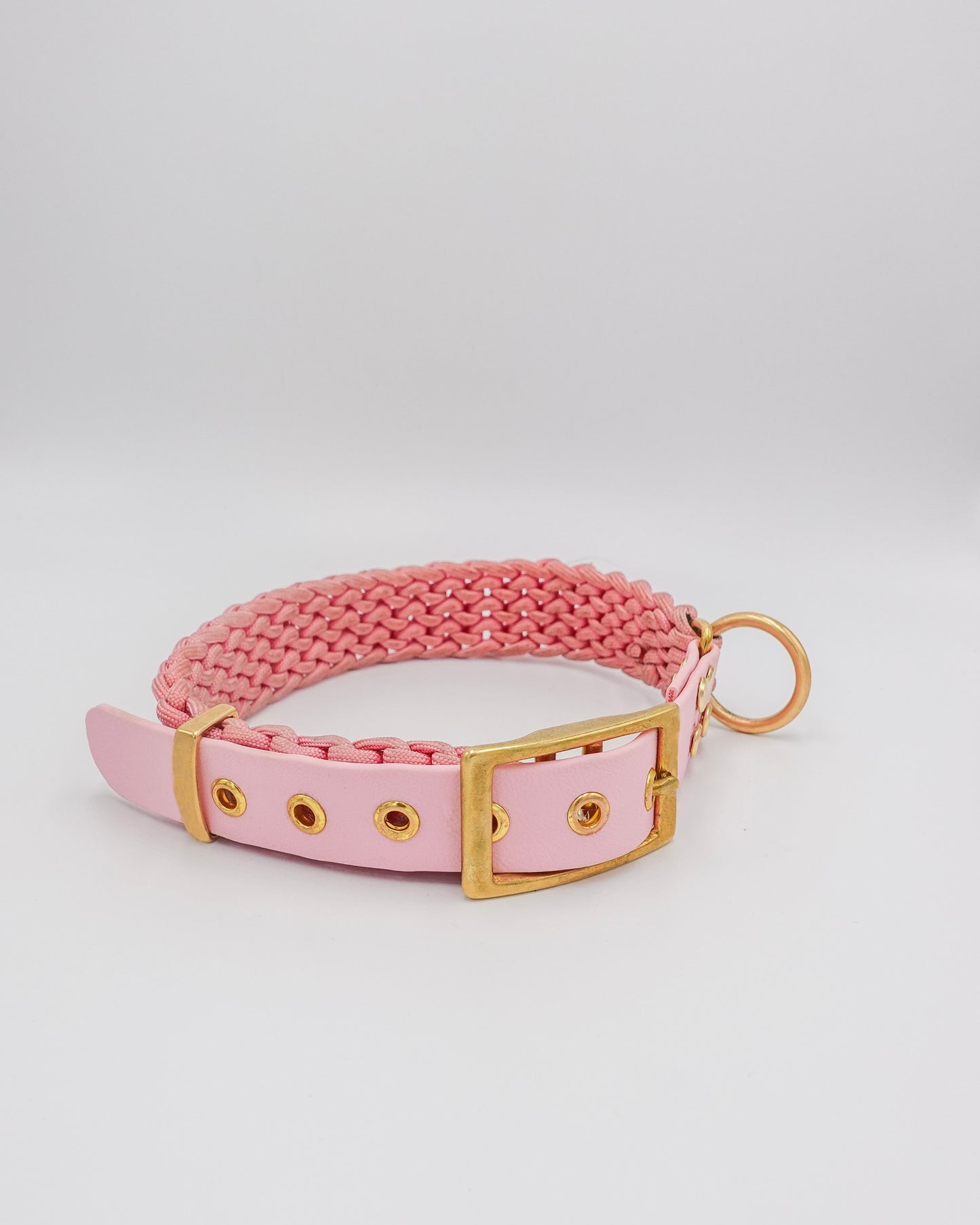dog collar waterproof handmade in biothane and braided paracorde, colliers pour chien 