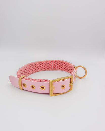 dog collar waterproof handmade in biothane and braided paracorde, colliers pour chien 
