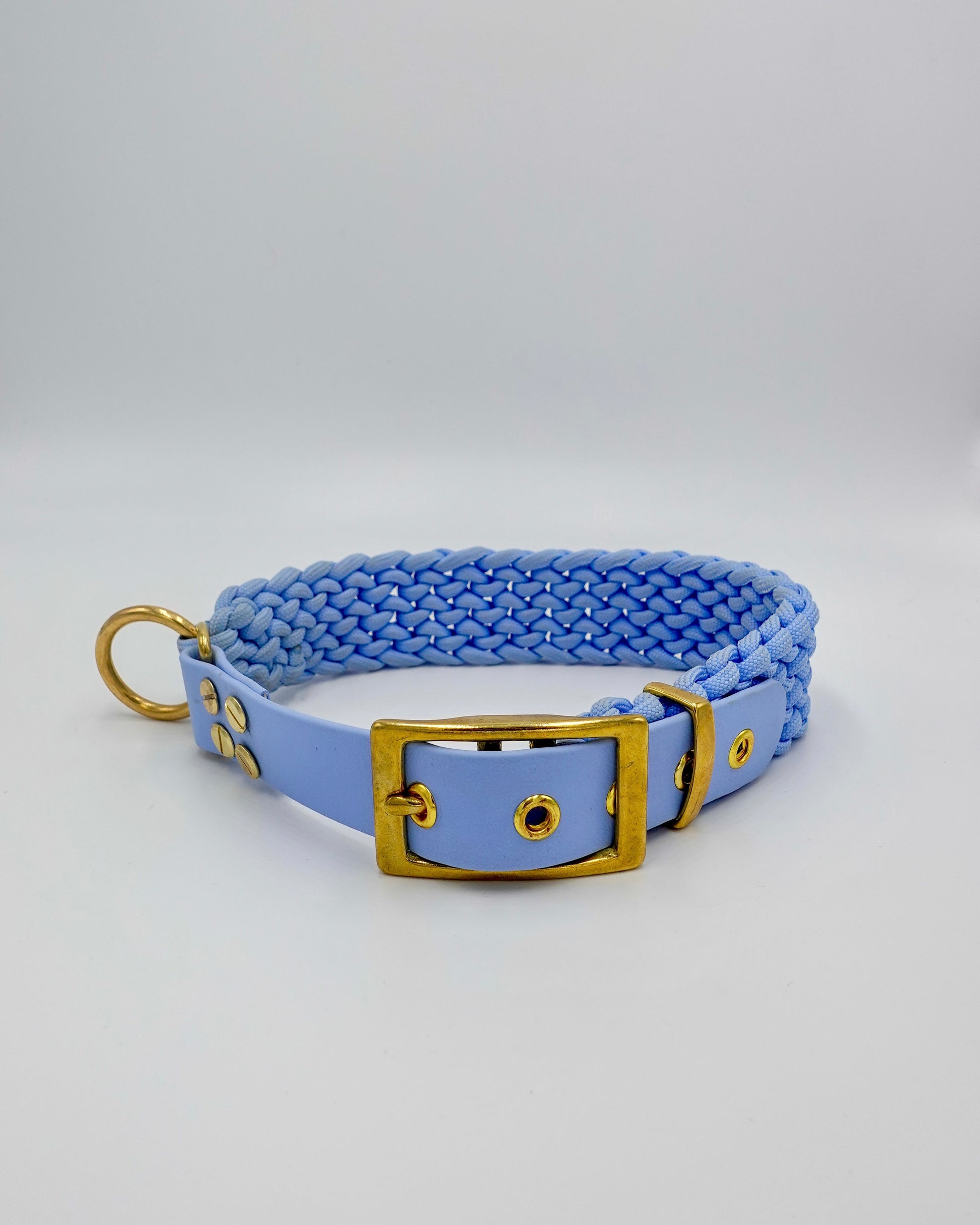 dog collar waterproof handmade in biothane and braided paracorde, colliers pour chien 
