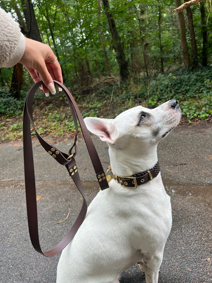 dog leash in biothane. harness Waterproof leash, vegan leather laisse pour chien handmade in France