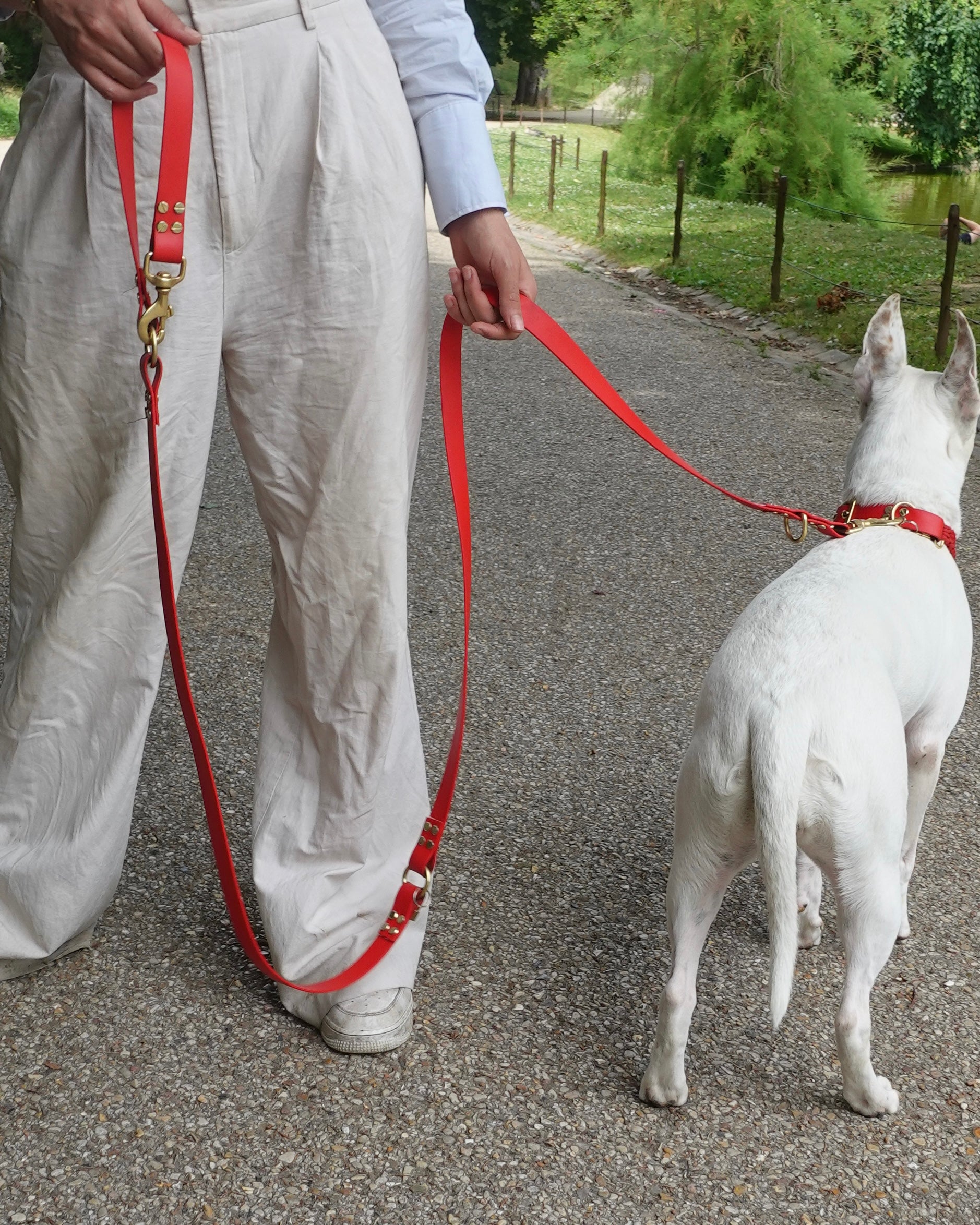 dog leash in biothane. Waterproof hands-free leash, vegan leather laisse pour chien handmade in France