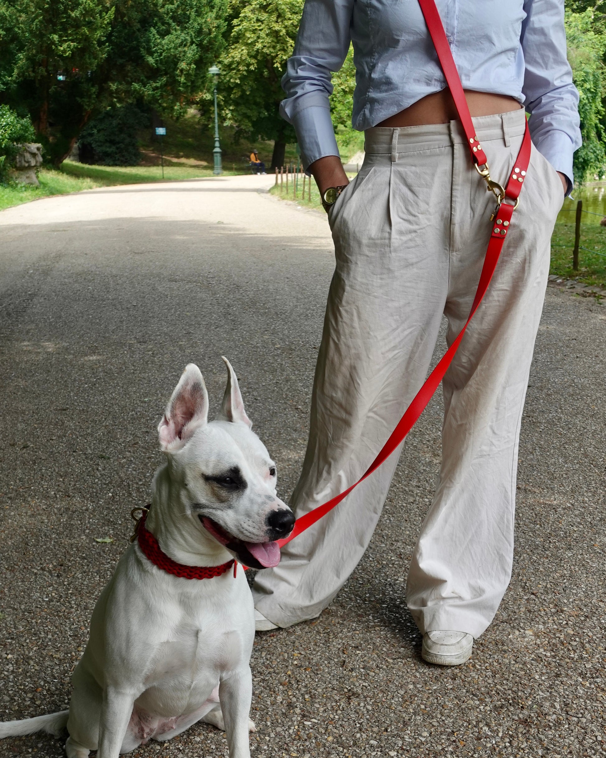 dog leash in biothane. Waterproof hands-free leash, vegan leather laisse pour chien handmade in France
