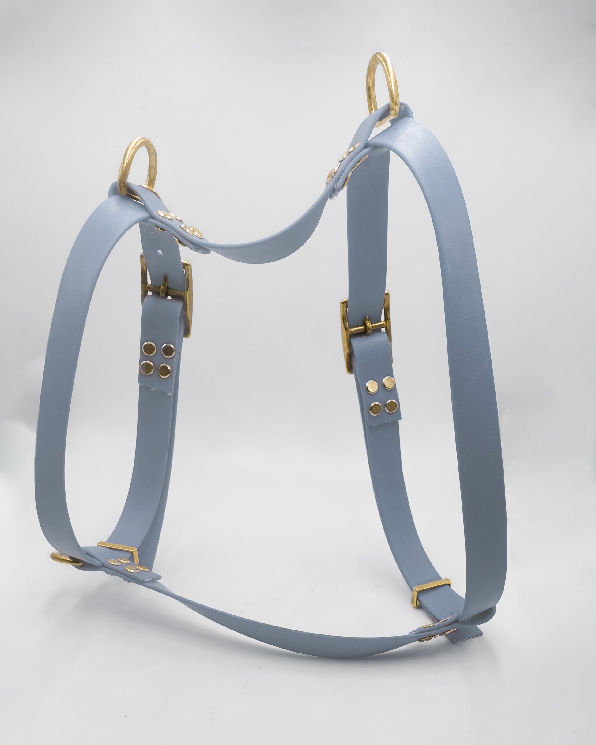 dog harness waterproof handmade in biothane, harnais pour chien 