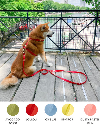 dog harness waterproof handmade in biothane, harnais pour chien 