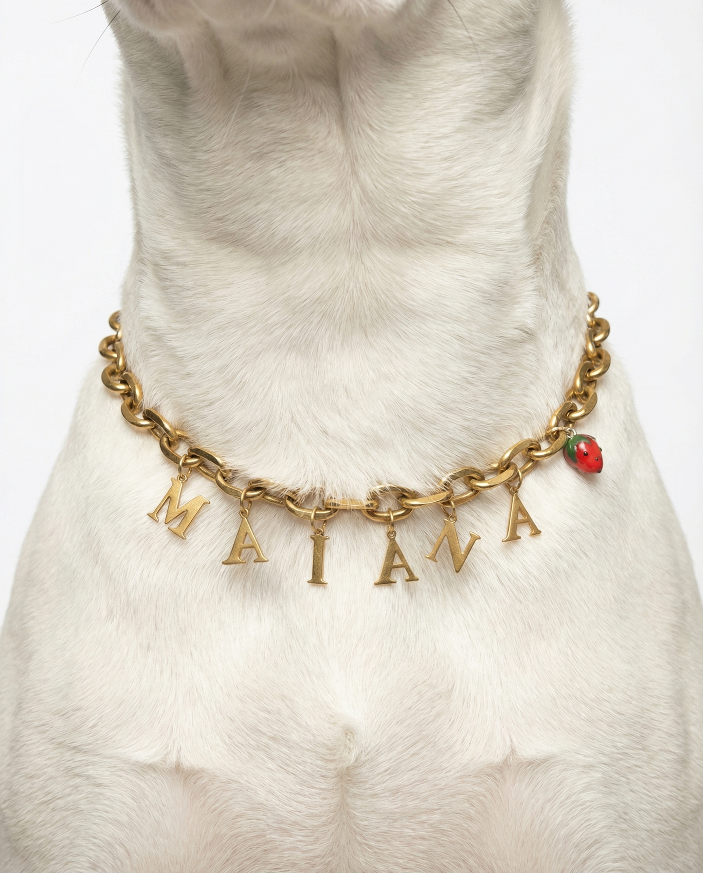 La Chaîne Signature - Personnalisée